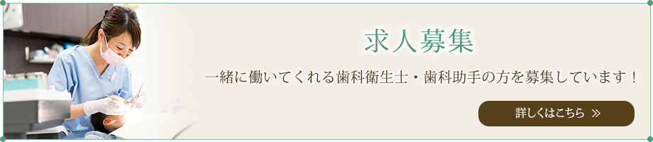 求人募集 一緒に働いてくれる歯科衛生士・歯科助手の方を募集しています！ 詳しくはこちら 